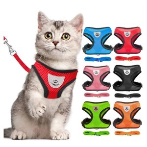 Bộ dây dắt thú cưng đi dạo thiết kế lưới thoáng khí thích hợp cho chó mèo